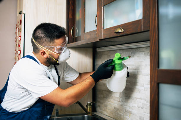 Best Insect Control  in White Pine, TN