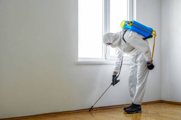Best Mosquito Control Services  in White Pine, TN