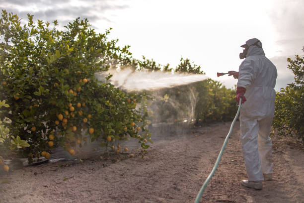 Best Best Pest Control Companies  in White Pine, TN