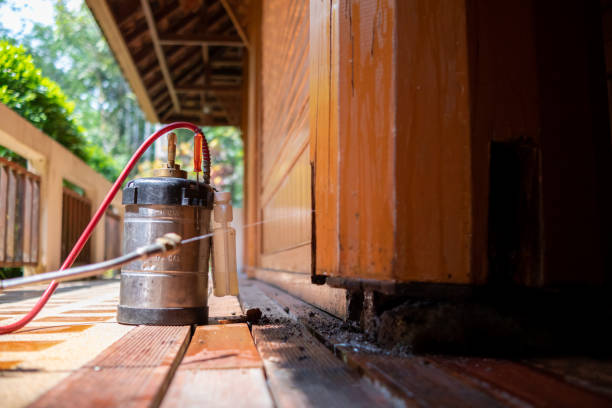 Best Commercial Pest Control Services  in White Pine, TN