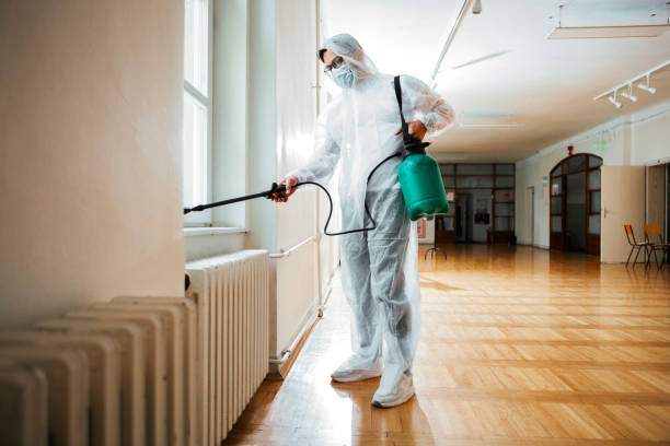 Best Flea Control Services  in White Pine, TN